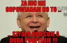Jarosław Kaczyński trafi na wózek inwalidzki