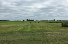 Nie będzie ochrony polskiej ziemi? Rolnicy alarmują: Rządowa ustawa jest...