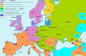 Słowo "niedźwiedź" w różnych językach Europy- wskaźnik grup językowych