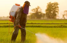 Monsanto ma zapłacić gigantyczne odszkodowanie choremu na raka