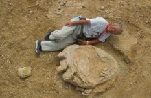 Na pustyni Gobi odkryto jeden z największych na świecie śladów dinozaura
