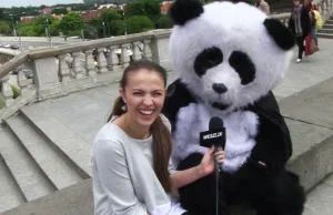 Sonda wyborcza Weszło!: Duda z lekką przewagą, ale panda jest za Putinem