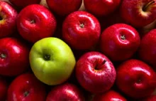PSL: Spółka Eskimos, odpowiedzialna za interwencyjny skup jabłek musi...