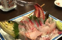 Ikizukuri- japoński sposób na serwowanie żywych ryb i nie tylko [video]