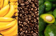 Banany, awokado, kawa, orzechy i inne wkrótce mogą zniknąć z naszych sklepów!