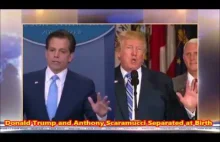 UNBELIEVABLE Trump & Scaramucci THE SAME Movements