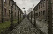 17-letni Anglicy kradli rzeczy pozostałe po Żydach w Auschwitz