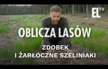 Zdobek i żarłoczne szeliniaki | Oblicza lasów #27