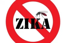 Prace naukowców z AGH i UJ mogą pomóc w leczeniu wirusa Zika.