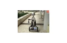 Robot Flash politechniki wrocłaskiej
