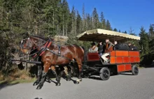 Kolejne testy hybrydowych wozów konnych w Tatrach zakończone sukcesem
