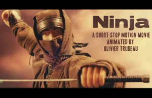 Ninja Puppet Fight:)