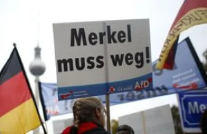 Eurosceptycy już trzecią siłą w Niemczech