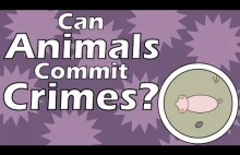 Czy zwierzęta mogą popełnić przestępstwo?