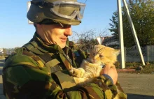 Ukraińska Armia Kotów na froncie
