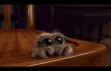 Mały słodziutki pajączek
