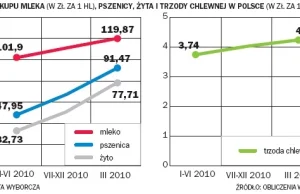 Od kogo zależy to co jesz? Czyli ABCD rynku żywności