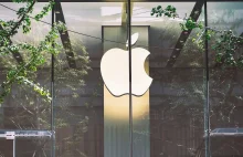 Nastolatek zhackował Apple, licząc na ofertę pracy