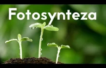 Przebieg fotosyntezy
