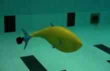 Ryba robot będzie chronić wybrzeża USA