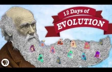 Ewolucja w 12 krótkich odcinkach [eng]