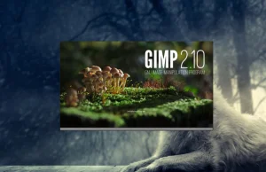 Nowy GIMP to przełom: sprawdź co darmowy edytor grafiki da zawodowcom