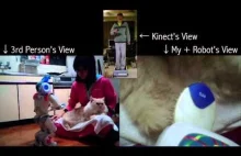 Robot Avatar Brushes Cat Remotely in Virtual Reality [Kinect, Wii, HMD,...