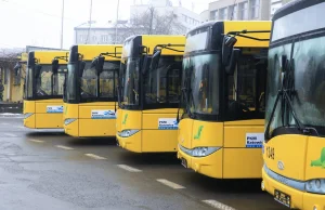 Solaris idzie na rekord. Autobusy sprzedają się jak ciepłe bułki