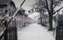 Sfilmowali teren Auschwitz z drona. To co widać sprawia, że ciarki...