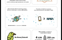 Rekordowa infografika