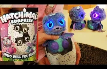 Bliźniaki Hatchimals - wykluwanie z jaja