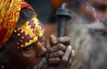 Legendy marihuany: charas i sativy z Himalajów