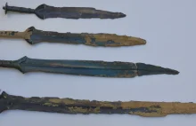 Grzybiarze znaleźli 4 miecze z brązu pod Jasłem pochodzą sprzed ponad trzech tyś