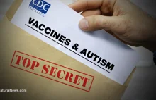 Italian court rules mercury and aluminum in vaccines cause autism: US...
