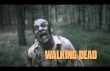 Walking Dead Parody