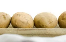 Solone ziemniaki prosto z ziemi