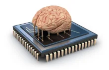 Komputer w mózgu