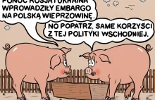 Wieprzowina - Satyryczny blog rysunkowy