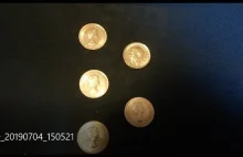 Złote monety znalezione w śmietniku.