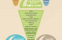 Skład lodów - infografika