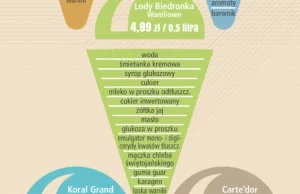 Skład lodów - infografika