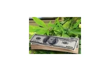 US medical marijuana market estimated at $1.7 billion - News