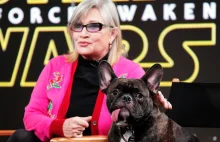 Pies Carrie Fisher obejrzał nowe "Gwiezdne wojny"