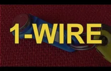 1-Wire [RS Elektronika]