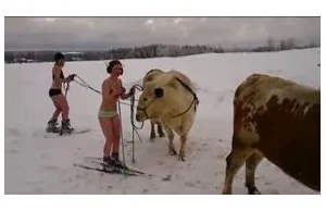 See Sweden sisters crazy skiing