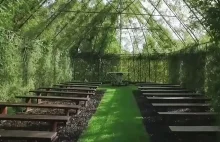 Kościół zrobiony z żywych drzew