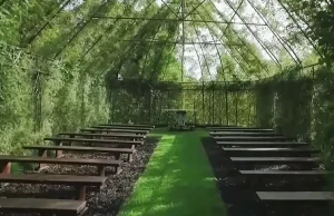Kościół zrobiony z żywych drzew