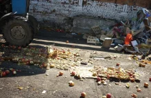 Польские яблоки уничтожили в Челябинске - ЯПлакалъ