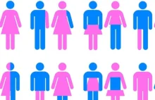 Feministki ustalają w ONZ zakres propagandy gender