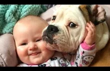 Babies Laughing at Dogs Compilation NEW